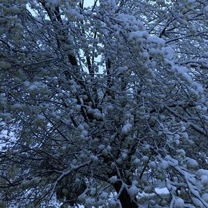 Meet your Posher, Bev